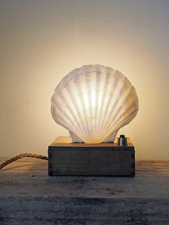 shell table lamp