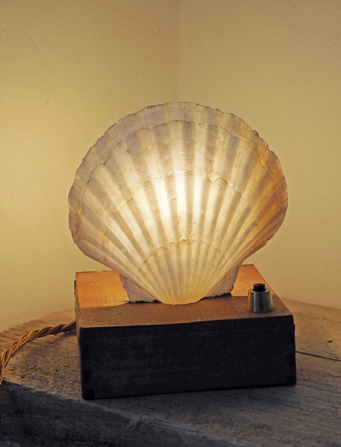 Scallop Shell Table Lamp. Great Nightlight in Children's Etsy UK