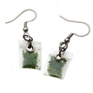 May include: A pair of silver earrings with clear plastic charms containing dried green herbs.