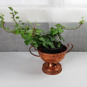 Peut inclure: Un pot en cuivre avec deux poignées et un piédestal, contenant une plante de lierre verte.