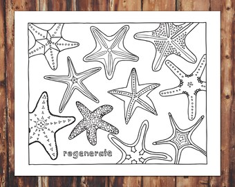 Regenerate Coloring Page