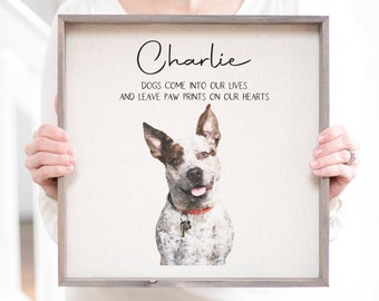 Pet Portraits Gift