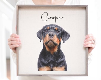 Pet Portraits Gift