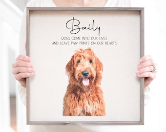 Pet Portraits Gift