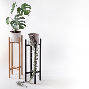 May include: Two plant stands, one black and one natural wood, with two potted plants. The plant on the left is a monstera plant in a white pot. The plant on the right is a trailing plant in a white pot.