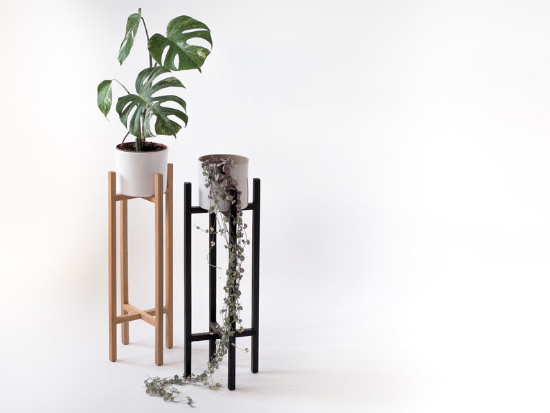 May include: Two plant stands, one black and one natural wood, with two potted plants. The plant on the left is a monstera plant in a white pot. The plant on the right is a trailing plant in a white pot.