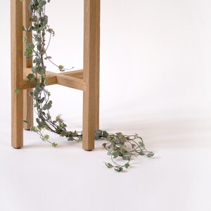 May include: A wooden plant stand with a natural finish. A trailing plant with green leaves hangs over the side of the stand.