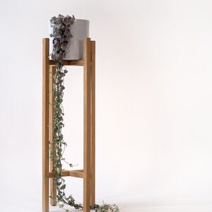 May include: A wooden plant stand with a white ceramic pot and a trailing plant with green leaves and purple flowers.