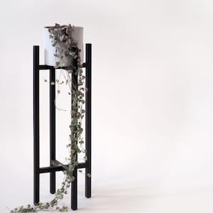 May include: A black metal plant stand with a white ceramic pot and a trailing green plant with purple leaves.