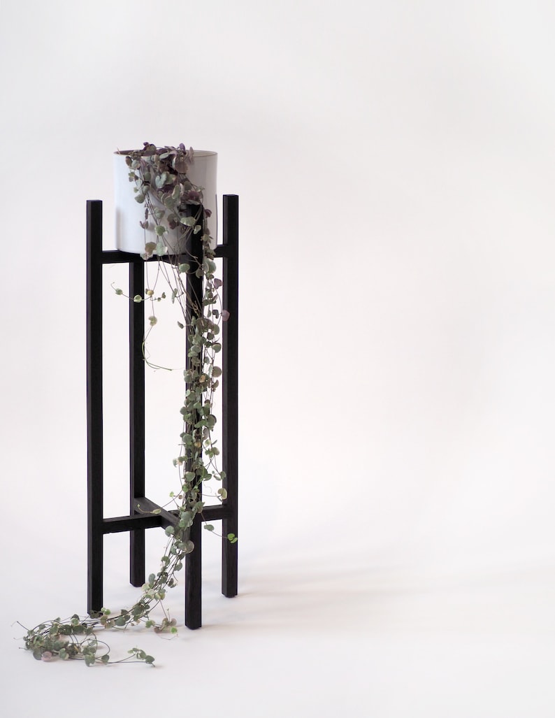 May include: A black metal plant stand with a white ceramic pot and a trailing green plant with purple leaves.