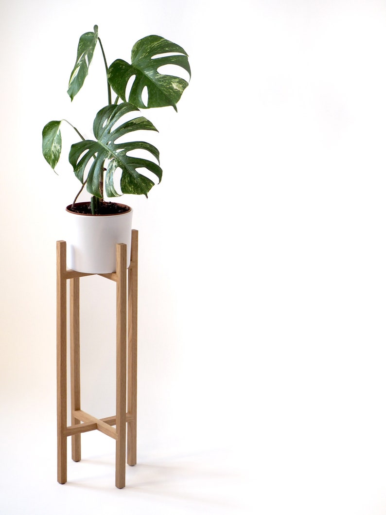 May include: A white ceramic pot with a green variegated monstera plant on a wooden plant stand.