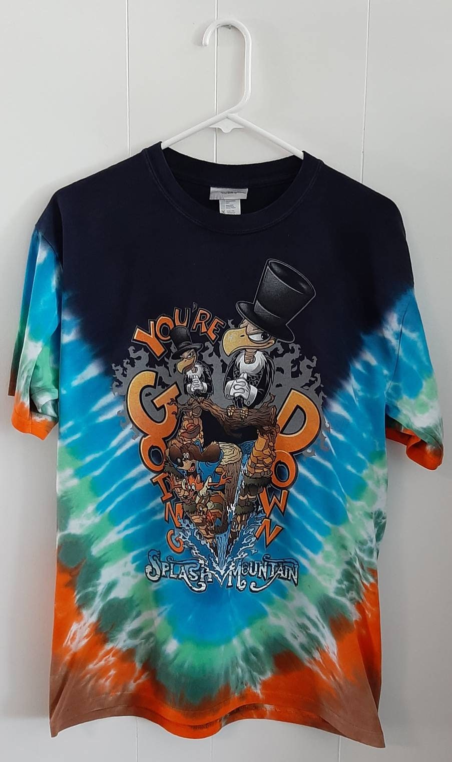 トップス dead stock splash mountain long T トップス dead stock splash mountain long T Vintage 90s
