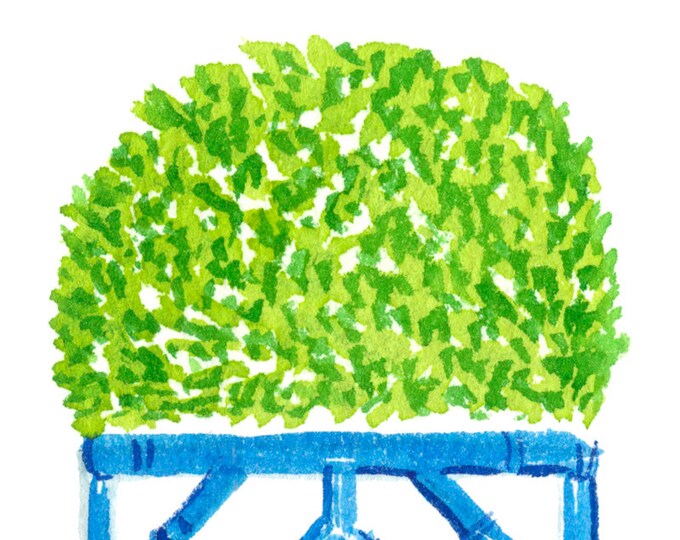 Boxwood Planter Print - Etsy