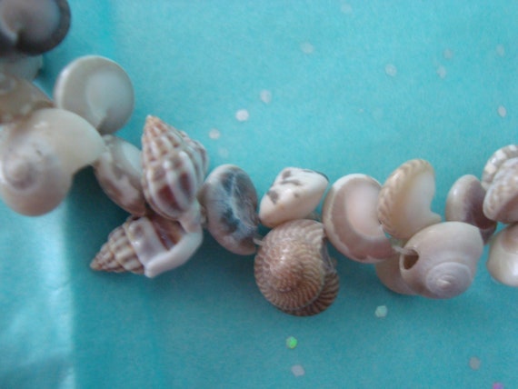 Vintage 1950's or 60's Tiny Ocean Sea Snail Shell… - image 3