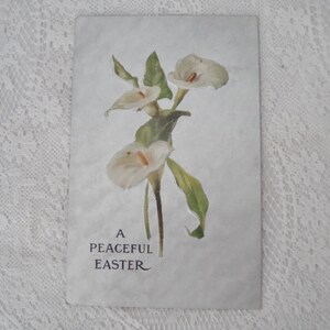 1909 Wysłana pocztówka - SPOKOJNA WIELKANOC - Srebrna folia, tłoczenie - lilie Calla