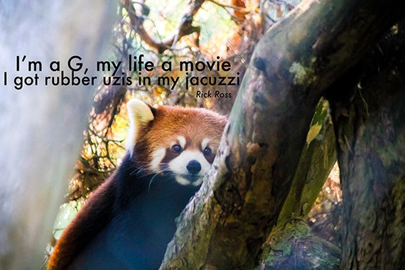 I M A G Rick Ross Rap Photography Lyrics Large Wall Etsy etsy