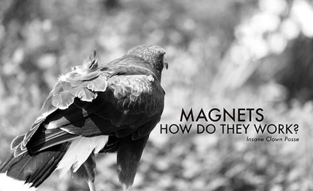 Insane Clown Posse ICP Rap Photography Lyrics Etsy