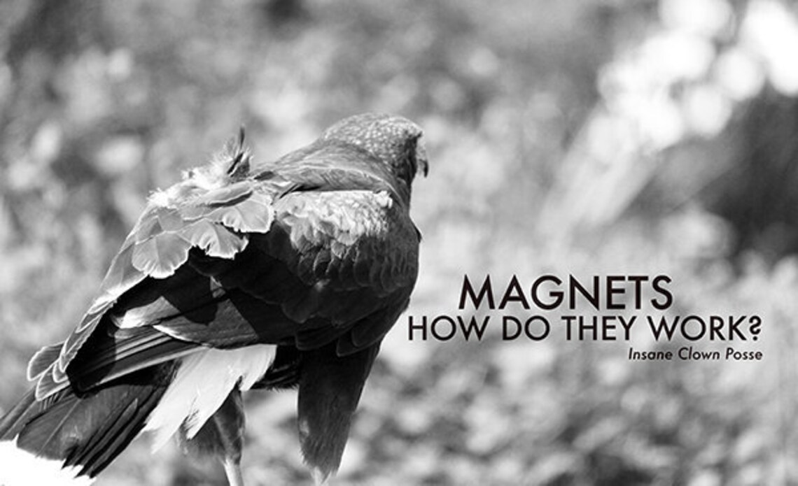 Insane Clown Posse ICP Rap Photography Lyrics Etsy