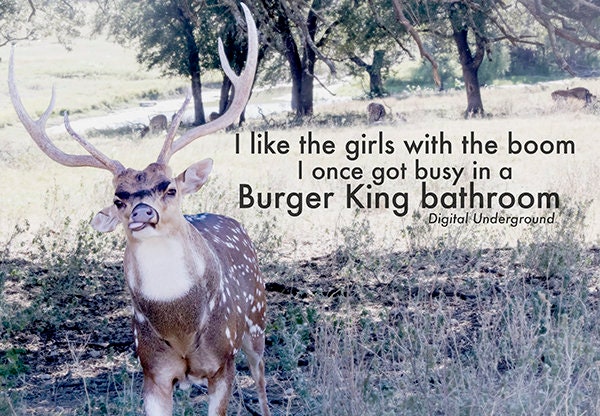 Burger King Boom Digital Underground Rap Photography Etsy