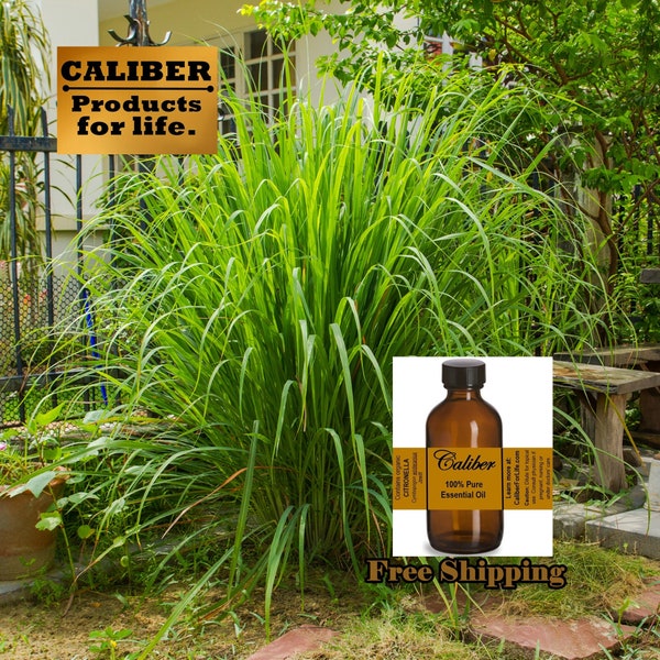 CITRONELLA Organic Undiluted Essential Oil Direct from Distiller! Candle making, soap making, bath body personal products, diffusers & more