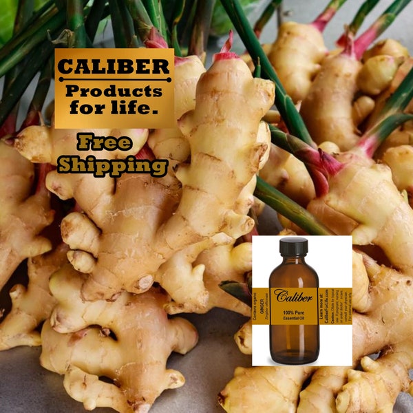 GINGER Essential Oil: DISTILLER DIRECT, Pure Organic | Use in Soap, Lotion, Aromatherapy, Diffuser, Massage, Candles, Ointments & More