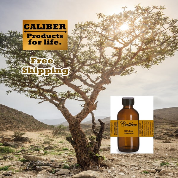 Organic Frankincense (Boswellia serrata) Essential Oil | Pure & Undiluted | Distiller Direct! Make Soap, Lotion, Balms, Topical Ointments