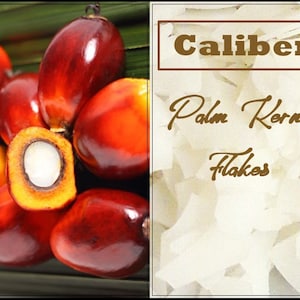 Palm Kernel Oil Flakes | Soap Making from Fruit of the Palm Tree! | Adds Lather, Durability | Easy to use | High Grade | Cold & Hot Process