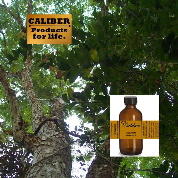 Rosewood Essential Oil: DIRECT FROM DISTILLER, Pure, Organic | Use in Soap, Lotion, Aromatherapy, Diffuser, Massage, Candles & More