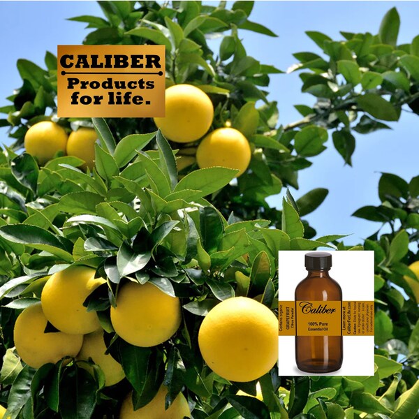 GRAPEFRUIT ESSENTIAL OIL: Distiller Direct! Aromatherapy, Bath Body Products, Soap Making, Ointments, Topicals & More | Fast Free Shipping