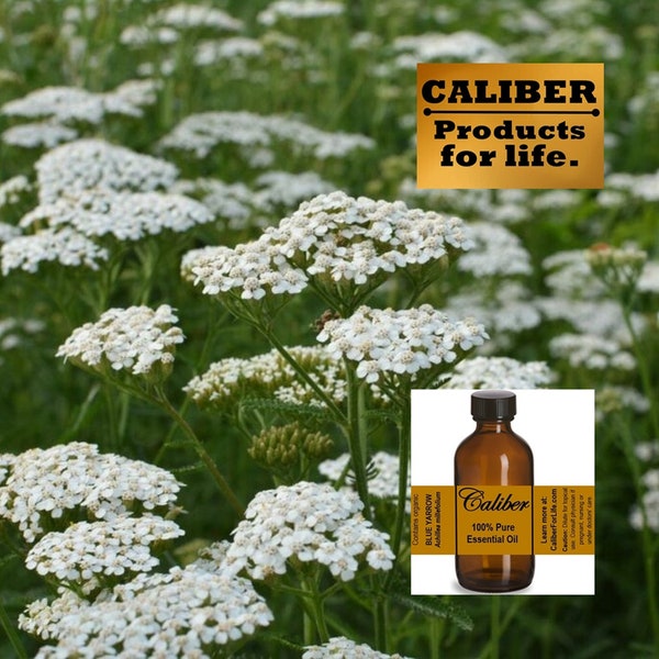 BLUE YARROW Organic Essential Oil Direct from Distiller | Full Strength Undiluted |Fast Free Shipping to USA, Territories, Military Bases