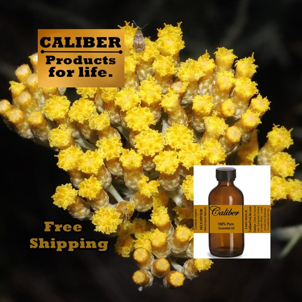 HELICHRYSUM Essential Oil: DISTILLER DIRECT, Pure Organic | Use in Soap, Lotion, Aromatherapy, Diffuser, Massage, Candles, Ointments & More