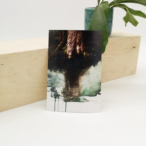 Deep Forest, impression d'art, limitée, finie à la main, carte postale 10 x 15 cm