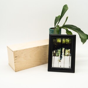Deep Forest No. 2, tirage d'art, limité, fini à la main, carte postale 10 x 15 cm