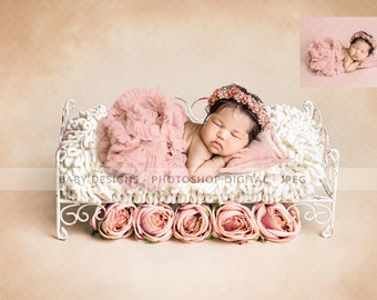 Digital Prop/Backdrop Newborn Wrought Iron Bed/Flowers. Instant Download