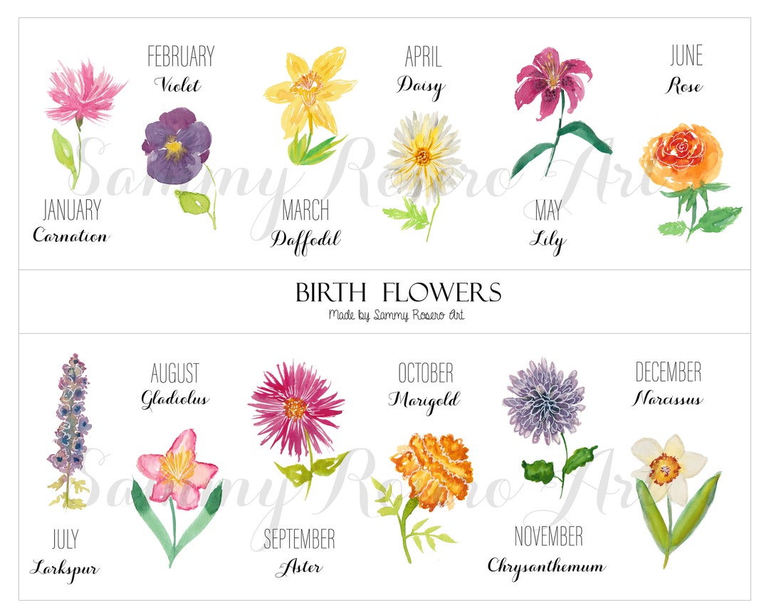 August Flower Of The Month Birth Flowers