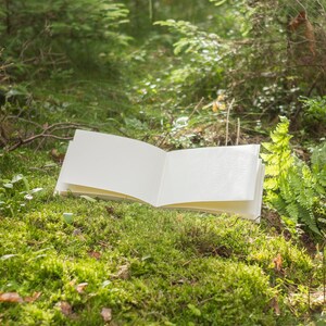 Puede incluir: Un libro abierto y en blanco que yace sobre un lecho de musgo verde en un entorno boscoso.