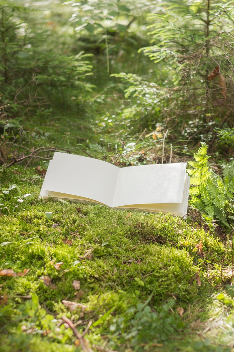 Puede incluir: Un libro abierto y en blanco que yace sobre un lecho de musgo verde en un entorno boscoso.