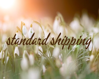 standard shipping