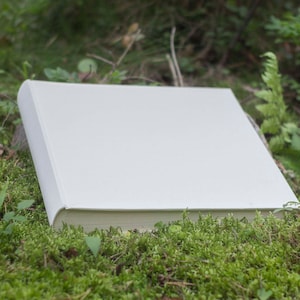 Big Wedding Photo Album, Grand album photo de mariage