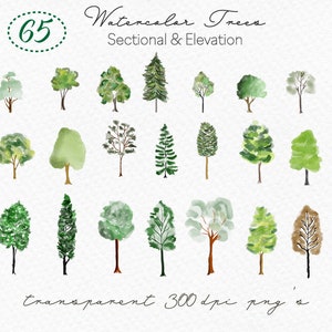 Puede incluir: Conjunto de 65 ilustraciones de árboles de acuarela en tonos verdes y marrones. Los árboles son de varios estilos, incluyendo pino, roble y sauce. Las ilustraciones son transparentes y de 300 dpi.