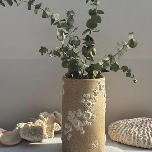 May include: A cylindrical, beige ceramic vase with a textured surface and white, barnacle-like embellishments. The vase holds green eucalyptus branches. Decorative coral and a seashell are in the foreground.