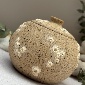 Pode incluir: Um pote de cerâmica bege com tampa, salpicado de pontos escuros e adornado com enfeites brancos em forma de cracas. O pote tem uma pequena alça arredondada na parte superior. A forma geral é redonda e orgânica, sugerindo um item artesanal.