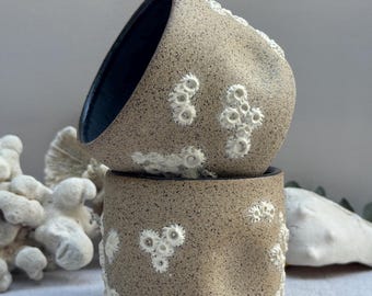 Handmade Stoneware Pottery- 10 oz Barnacle Thumb Tumblers