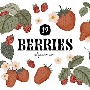 Puede incluir: Un conjunto de 19 ilustraciones de bayas en clipart, que incluyen fresas y frambuesas, con hojas verdes y flores blancas. El texto "BERRIES clipart set" está incluido en la imagen.