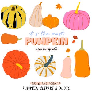 May include: A set of digital illustrations featuring various pumpkins in different colors and styles. The pumpkins are arranged in a whimsical design with the text "it's the most PUMPKIN season of all".