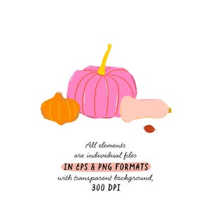 May include: Three pumpkins in various sizes and colors. A large pink pumpkin, a smaller orange pumpkin, and a long, pale pink pumpkin. The pumpkins are on a white background.