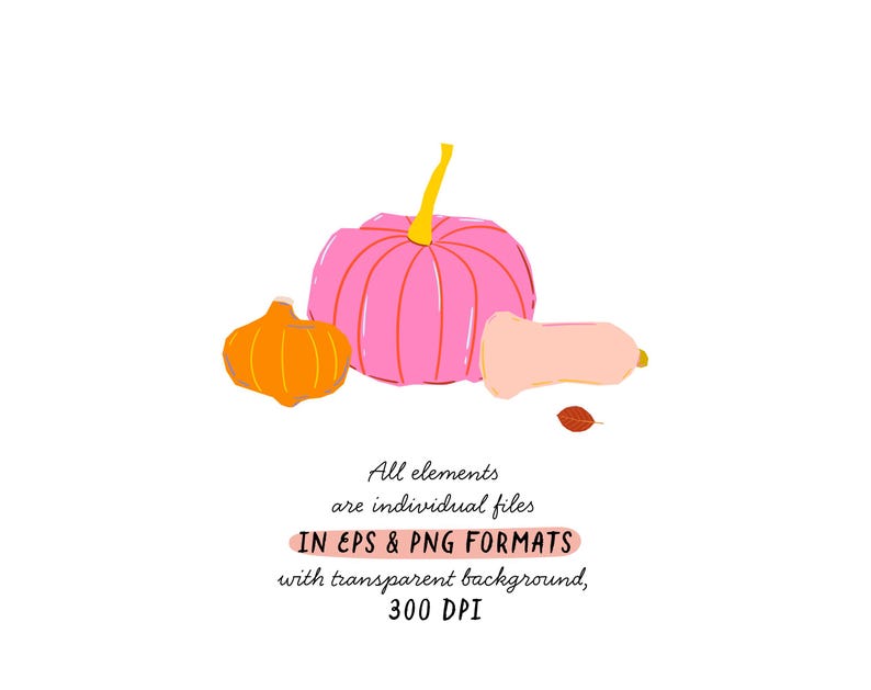 May include: Three pumpkins in various sizes and colors. A large pink pumpkin, a smaller orange pumpkin, and a long, pale pink pumpkin. The pumpkins are on a white background.