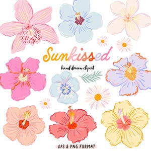 Tropische Blumen Clipart Bundle, Hand gezeichnet Sommer Blumen PNG EPS. Hibiskus Blütenfülle. Sanfte Pastell Sommer Botanik Clipart Digital PNG