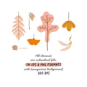 May include: A collection of stylized autumn leaves in shades of peach, orange, and brown, arranged on a white background. The image includes text stating the elements are individual files in EPS and PNG formats with a transparent background, 300 DPI.
