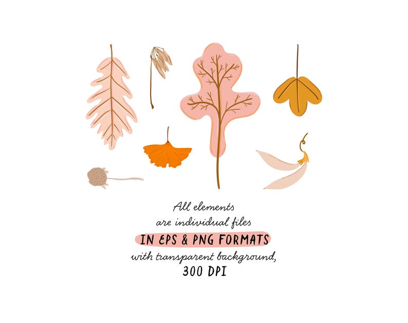 May include: A collection of stylized autumn leaves in shades of peach, orange, and brown, arranged on a white background. The image includes text stating the elements are individual files in EPS and PNG formats with a transparent background, 300 DPI.